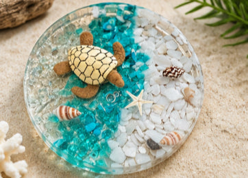 Turtle coaster